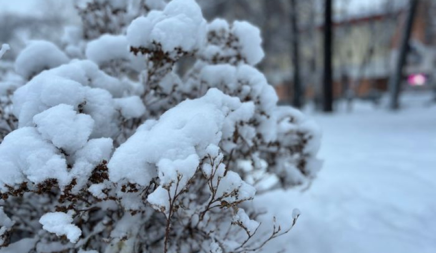 Снегопады накроют Урал